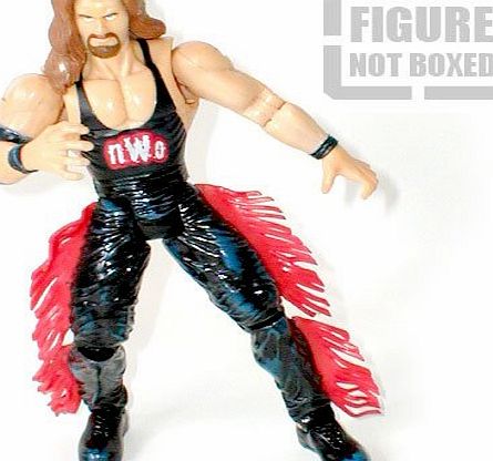 JAKKS [not boxed] WWF WWE TNA Wrestling 6`` NWO KEVIN NASH figure [not packaged]